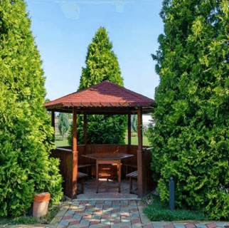 Heated Swimming Pool & Cold Baths